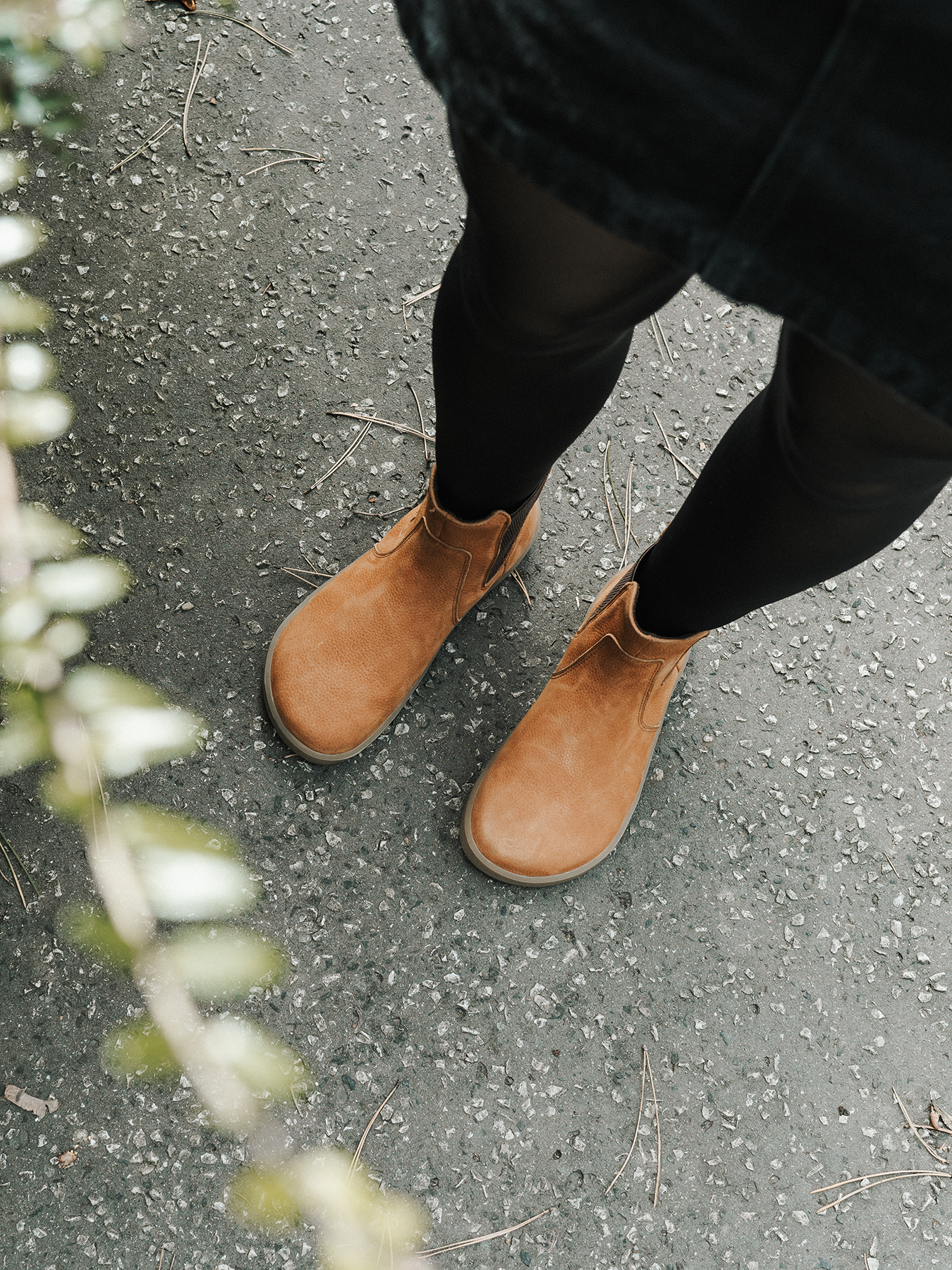Be Lenka Entice Neo Chelsea Boots