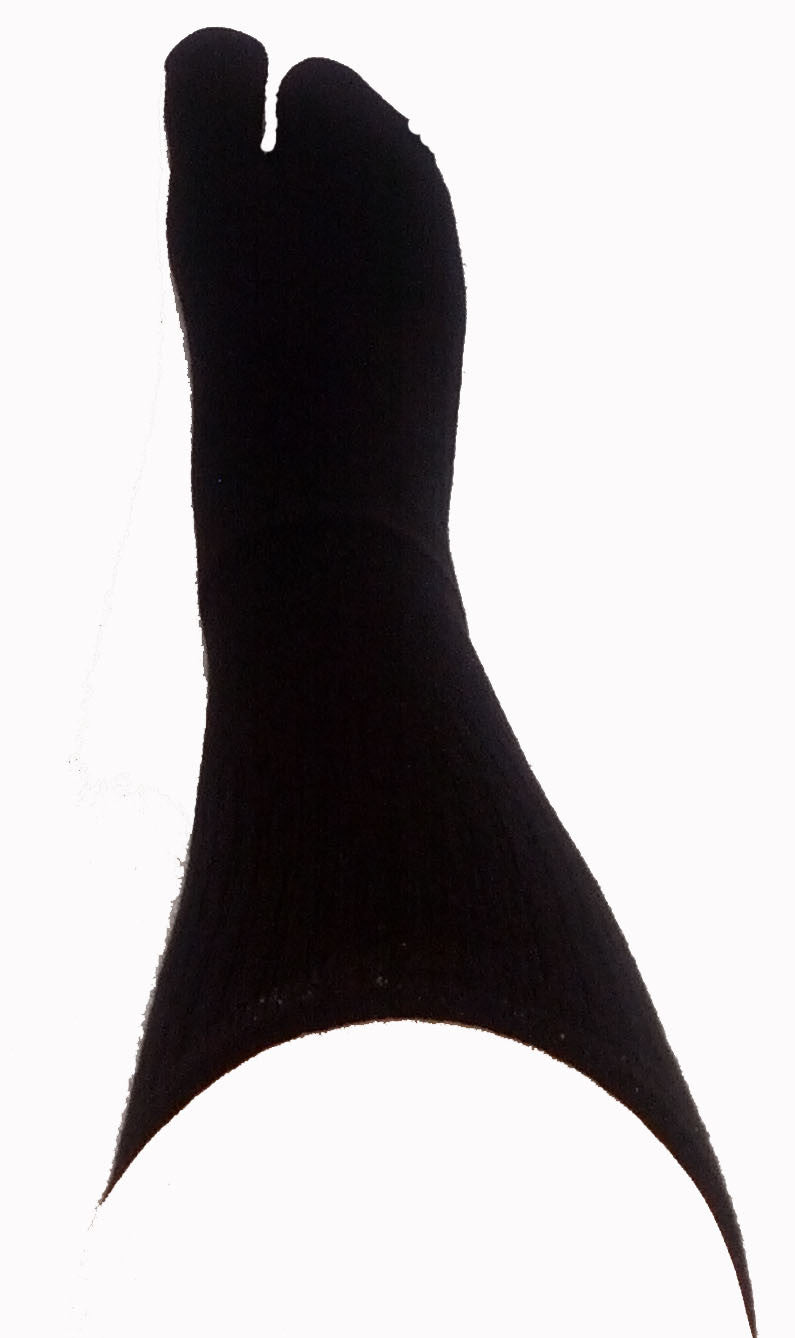 Tall Black Cashmere Tabi Socks on a Foot